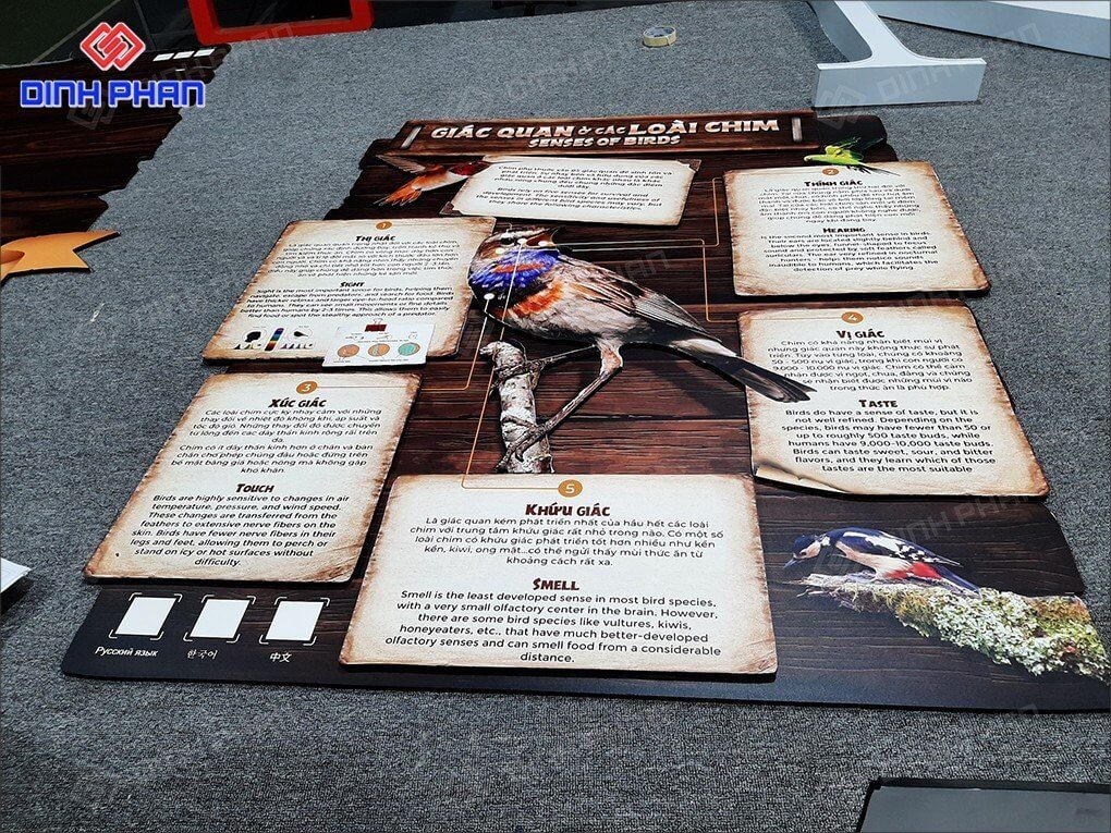 bang thong tin Vinpearl Safari Phu Quoc (13) (1) bang thong tin Vinpearl Safari Phu Quoc