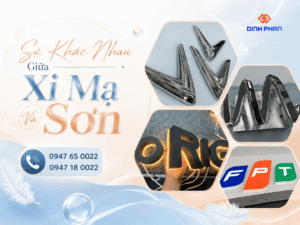 su khac nhau giua xi ma va son